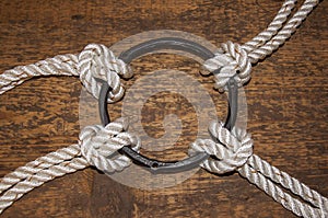 Four ropes bonded to a circle of steal