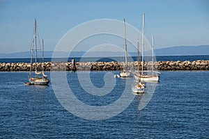 Four sailboats moored in Monterey bay California