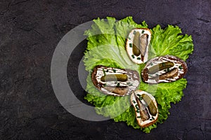 Four sandwiches with sprots and pickles on lettuce leaves. Copy space