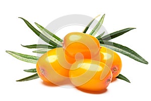 Four sea buckthorn berries, clipping paths