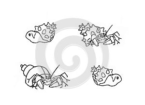 Four sea snails, colouring book page uncolored