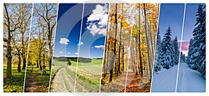 Four season collage from shots with roads in landscape