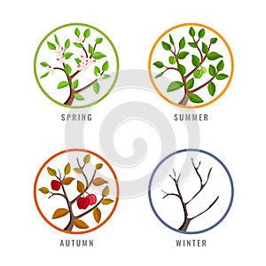 Four season concept with apple tree season change in spring summer autumn winter in circle sign vector design