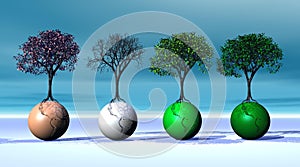 Four seasonal trees on four earth