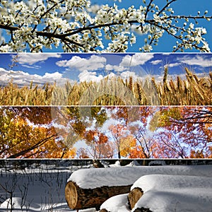 Four seasons