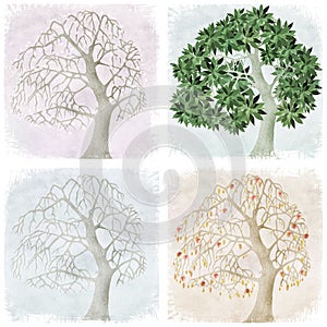 Four seasons of apple tree