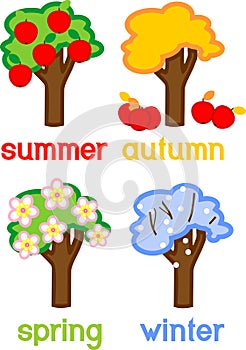 Four seasons apple tree isolated on white background. Life cycle of tree with titles