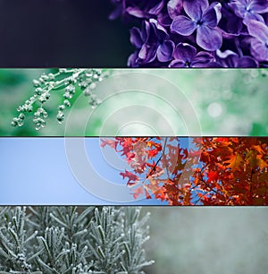 Four Seasons Banners Set. Collection of Spring Summer autumn and Winter backgrounds in wide format with blurred copy