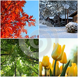 Four seasons. Collage design with beautiful photos of nature