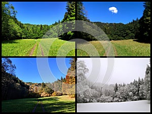 Four seasons collage of same quaint landscape