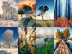 Four Seasons Collage - Spring, Summer, Autumn, Winter