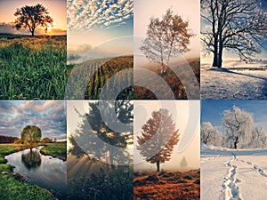 Four Seasons Collage - Spring, Summer, Autumn, Winter