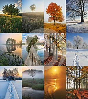 Four Seasons Collage - Spring, Summer, Autumn, Winter