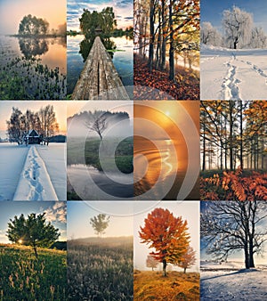 Four Seasons Collage - Spring, Summer, Autumn, Winter