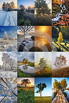 Four Seasons Collage - Spring, Summer, Autumn, Winter