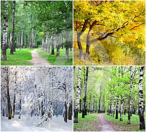 Four seasons collage