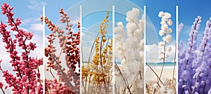 four seasons collage vibrant vertical divided nature photos winter, spring, summer, autumn