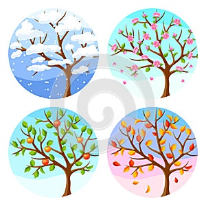 Four seasons. Illustration of tree and landscape in winter, spring, summer, autumn.
