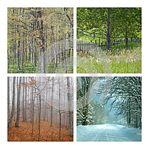 Four Seasons Nature Collage