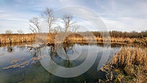 Four Seasons Nature Preserve - Lake Geneva, WI