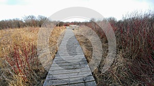 Four Seasons Nature Preserve - Lake Geneva, WI