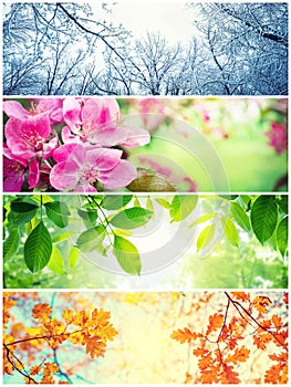 Four seasons. A pictures that shows four different pictures representing the four seasons photo