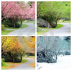 Four seasons of the same street