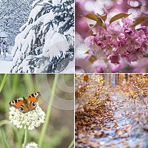 Four seasons. Set of square photos of nature in frames with winter, spring, summer and autumn moments. Copy space, place for