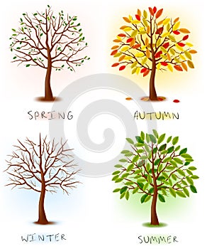 Four seasons - spring, summer, autumn, winter.