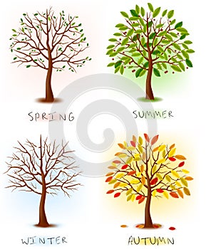 Four seasons - spring, summer, autumn, winter.