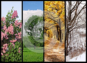 Four seasons spring, summer, autumn, winter