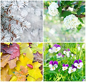 Four seasons: Spring, summer, autumn and winter