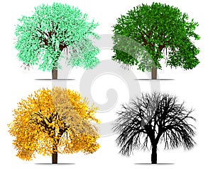 Four Seasons Tree Abstract Rendering