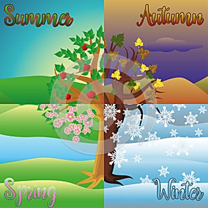 Four seasons tree background, vector