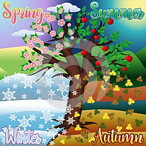 Four seasons tree banner, vector