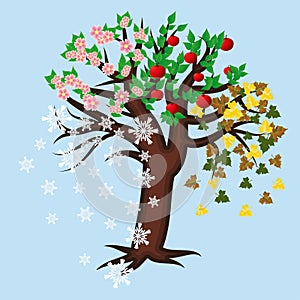Four seasons tree card, vector