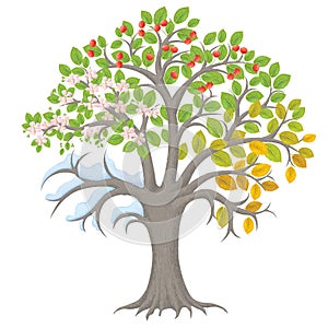 Four seasons tree