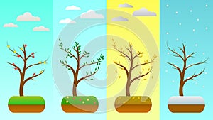 Four seasons tree illustration design