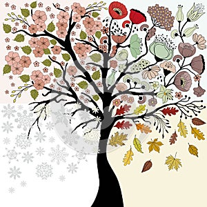 Four seasons tree - spring, summer, autumn, winter