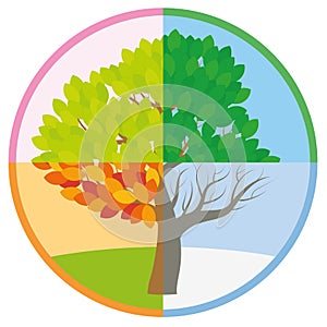 Four Seasons Tree Spring Summer Fall Winter