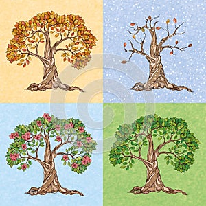 Four seasons tree