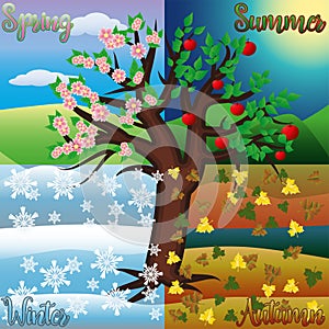 Four seasons tree, vector