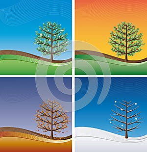 Four seasons - trees