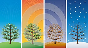 Four seasons - trees