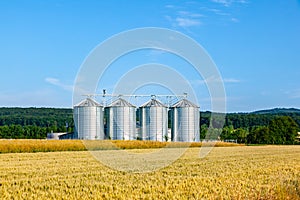 four silver silos in corn field