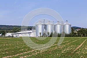 Four silver silos in field