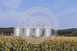 Four silver silos in field