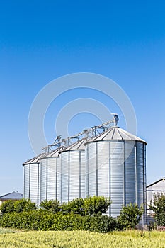 Four silver silos in field under bright sky