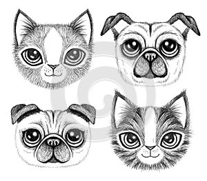 Four sketchy pen drawings of cute dogs and cats