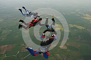 Four skydivers